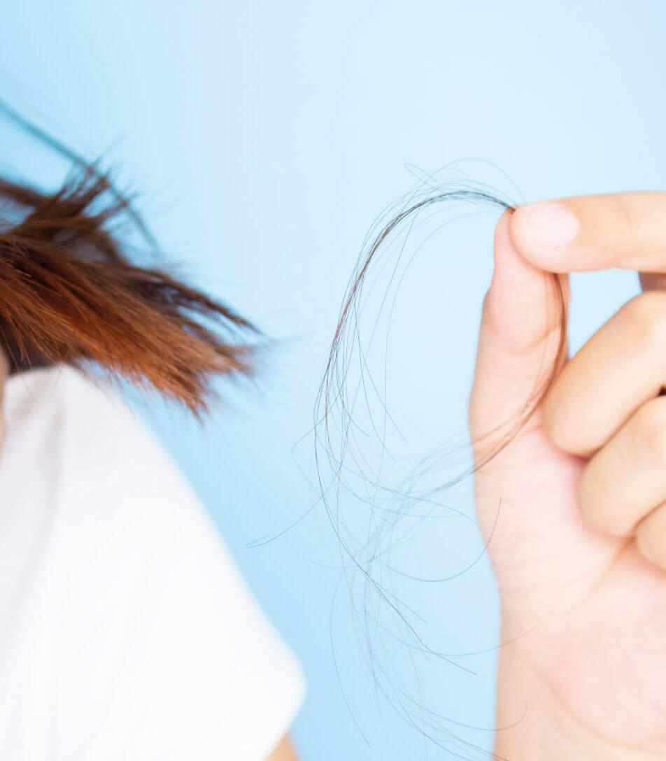 Haarstruktur und Haarfaser